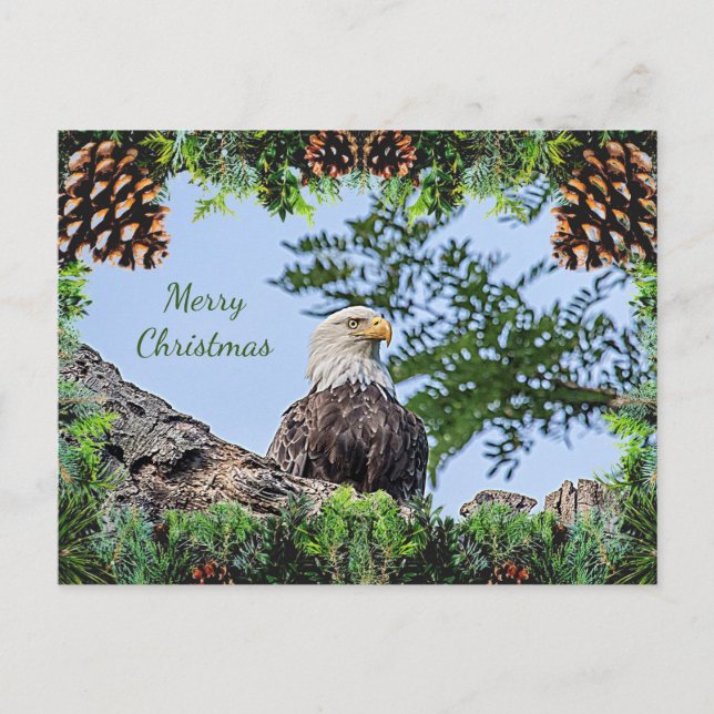 Carte de Noël American Bald Eagle (Devant)