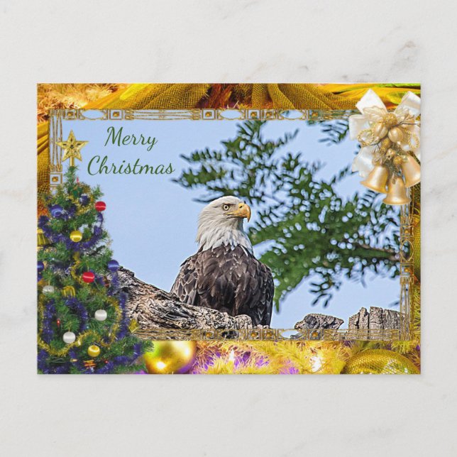 Carte de Noël American Bald Eagle (Devant)