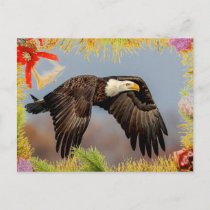 Carte de Noël American Bald Eagle