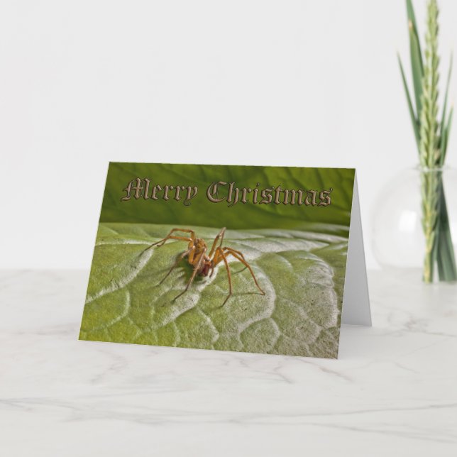 Carte de Noël amusante (Devant)