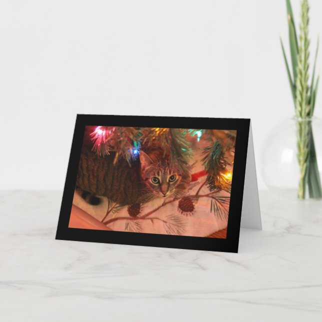 Carte de Noël arbre chat tigré (Devant)