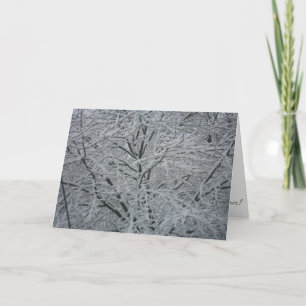 Carte de Noël "Arbre de l'année bissextile 2012"
