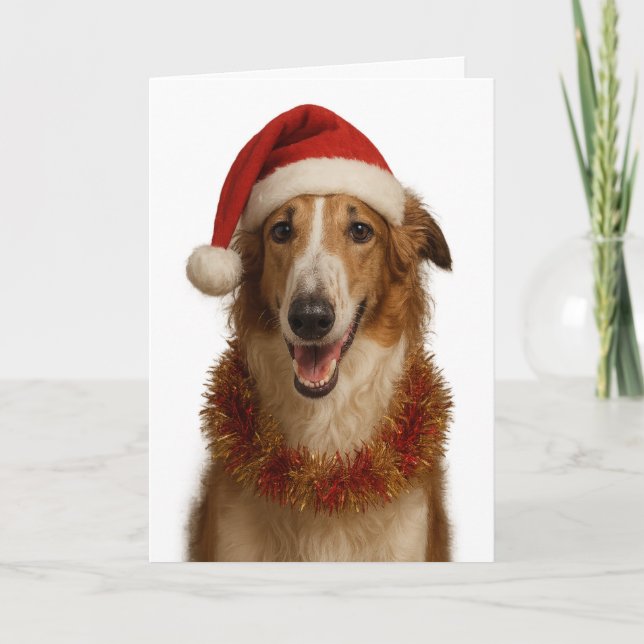 Carte de Noël au borzoï (marron et blanc) avec un  (Devant)