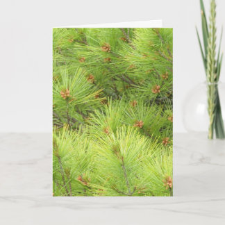 Carte de Noël au pin
