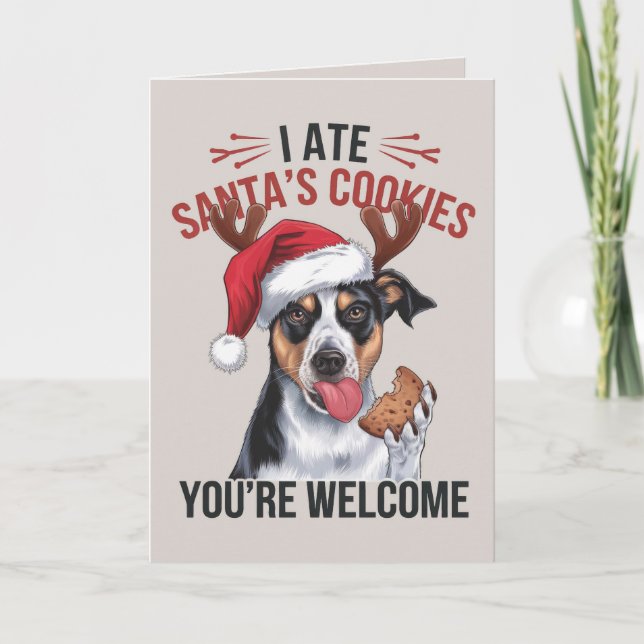 Carte de Noël australienne Shepard Funny Chien (Devant)