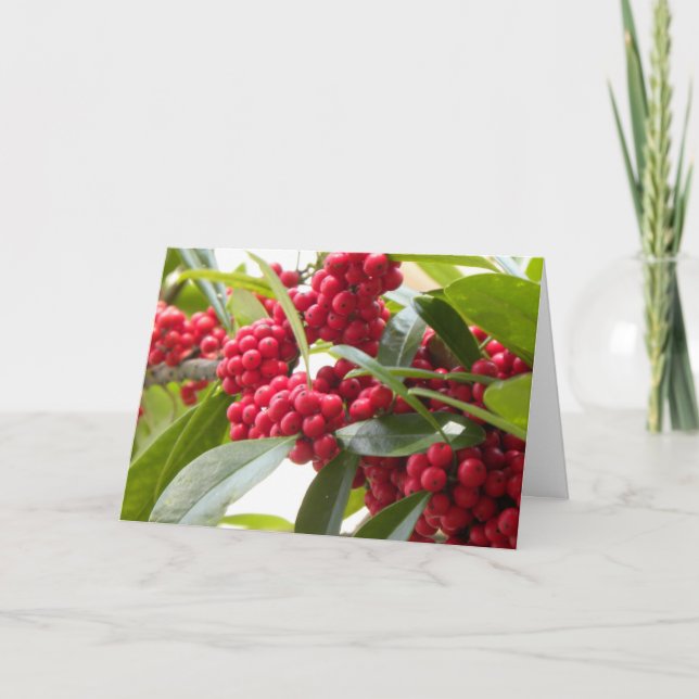 Carte de Noël aux baies rouges (Devant)