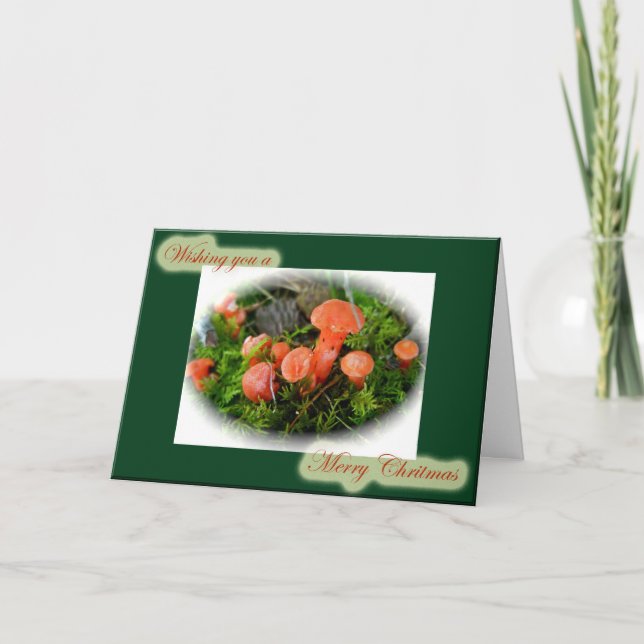 Carte de Noël aux champignons lumineux (Devant)