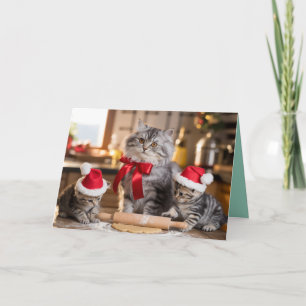 Carte de Noël aux cookies avec un chat gris roux m