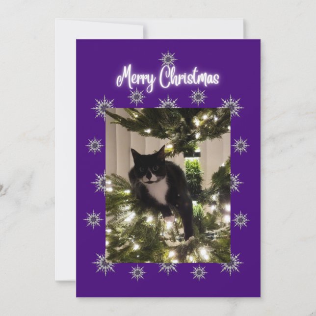 Carte de Noël avec chat smoking sur l'arbre. (Devant)