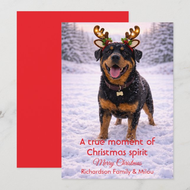 Carte de Noël avec citation douce et chien mignon  (Devant / Derrière)