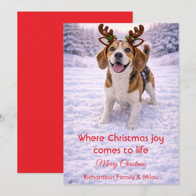 Carte de Noël avec citation douce sur un chien mig (Devant / Derrière)
