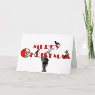 Carte de Noël avec les animaux australiens