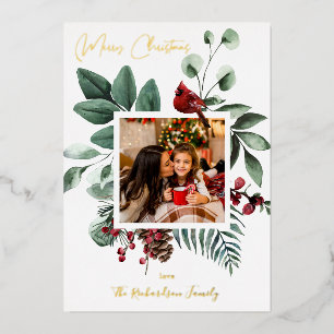 Carte de Noël avec oiseau cardinal et pin