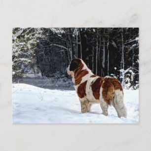carte de Noël avec Saint Bernard dans la neige