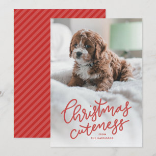 Carte de Noël avec un animal mignon