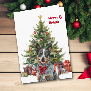Carte de Noël avec un chien de bétail australien R