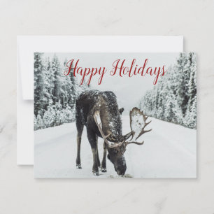 Carte de Noël avec un orignal dans la neige hivern