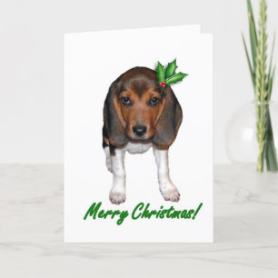 Carte de Noël beagle