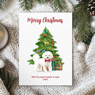 Carte de Noël Bichon Frise