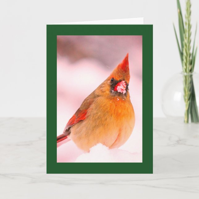 CARTE DE NOËL BLANCHE AU CARDINAL DANS LA NEIGE (Devant)