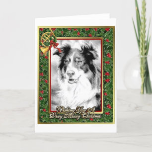 Carte de Noël blanche de chien berger australien
