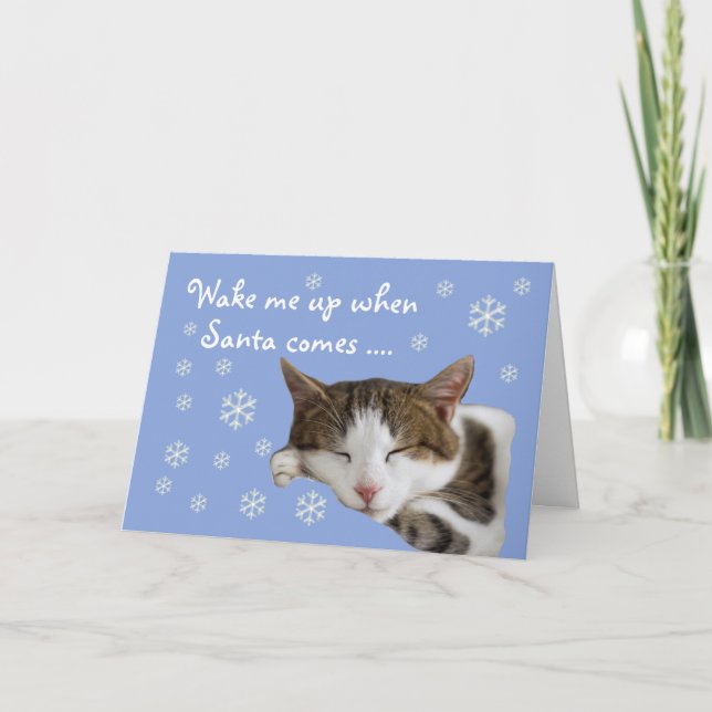 Carte de Noël bleue Chat couché couché (Devant)