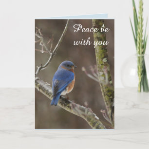 Carte de Noël Bluebird