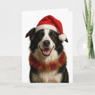 Carte de Noël Border Collie noir et blanc