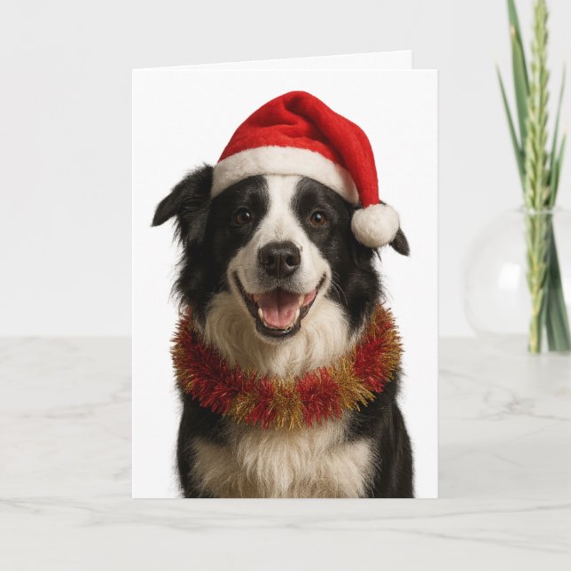 Carte de Noël Border Collie noir et blanc (Devant)