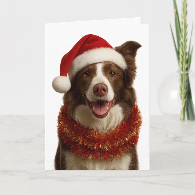Carte de Noël Border Collie rouge et blanc (Devant)
