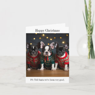 Carte de Noël Boston Terrier Puppies