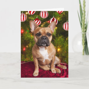 Carte de Noël Bulldog