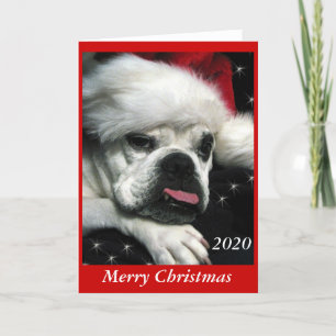 Carte de Noël Bulldog anglaise.