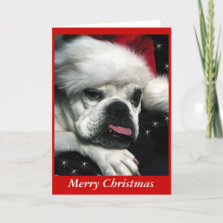Carte de Noël Bulldog anglaise.
