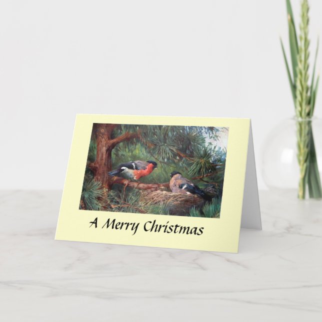 Carte de Noël - Bullfinches (Devant)