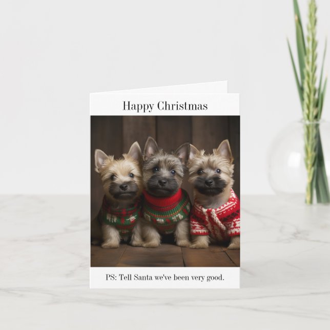 Carte de Noël Cairn Terrier Puppies (Devant)