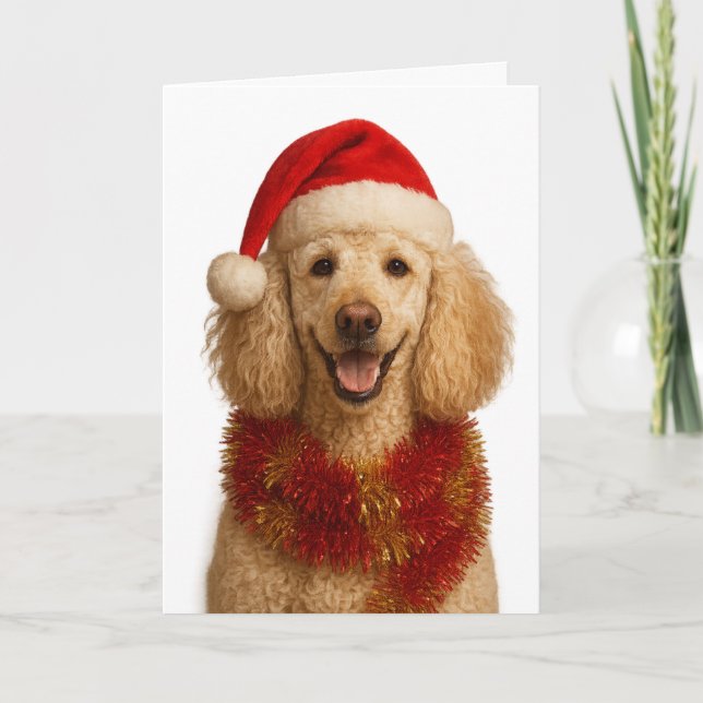 Carte de Noël Caniche (Devant)