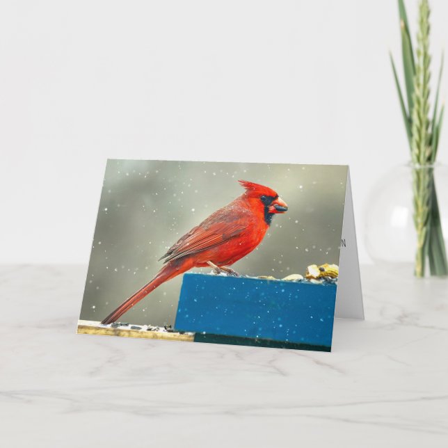 Carte de Noël Cardinal (Devant)