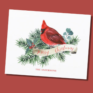 Carte de Noël Cardinal Rouge Budget