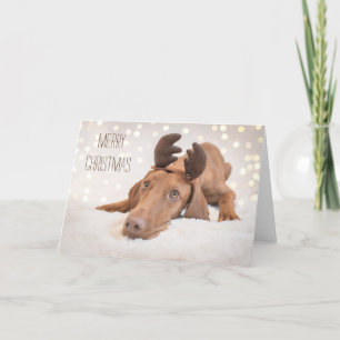 Carte de Noël / Carte de Noël "Magyar Vizsla"