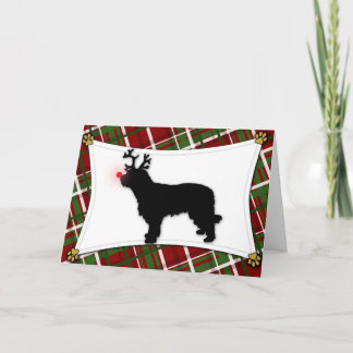 Carte de Noël Catalan Sheepdog Reindeer