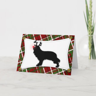Carte de Noël Cavalier King Charles Reindeer