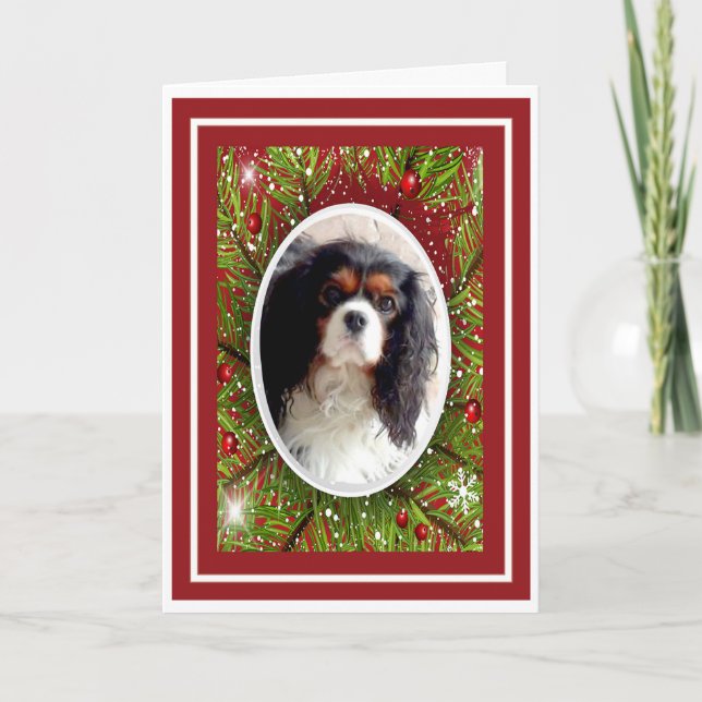 Carte de Noël Cavalier King Charles Spaniel (Devant)