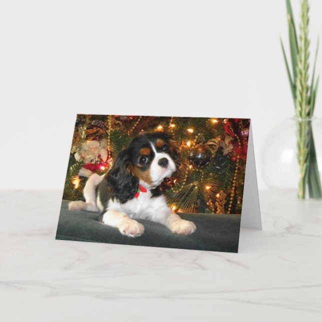 Carte de Noël Cavalier King Charles Spaniel (Devant)