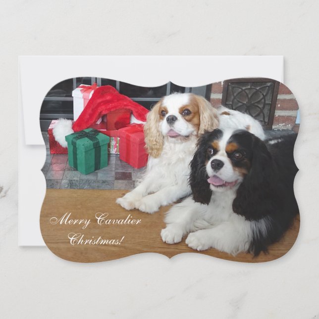 Carte de Noël Cavalier King Charles Spaniel (Devant)