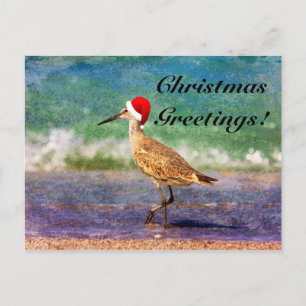 Carte de Noël Chapeau de Père Noël Oiseau sur Plag