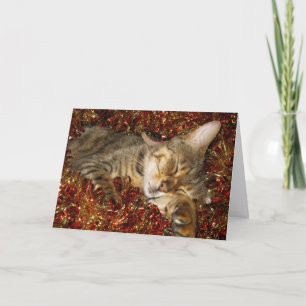 Carte de Noël - chat du Bengale