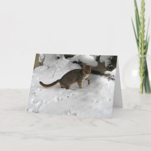 Carte de Noël - chat repéré rouillé 2