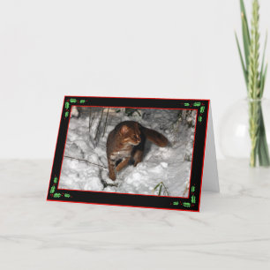 Carte de Noël - chat repéré rouillé (noir)