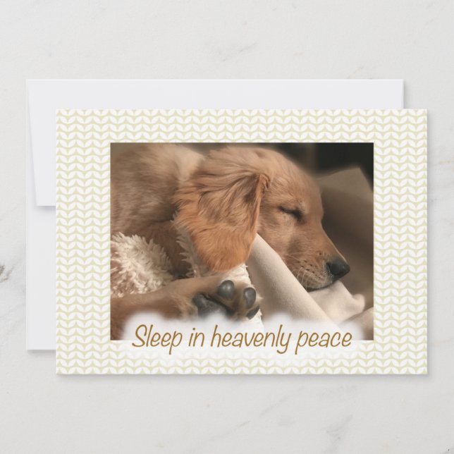 Carte de Noël Chien de Paix Doré (Devant)